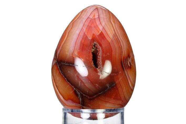 Vibrant Polished Carnelian Agate Egg - Madagascar #318262